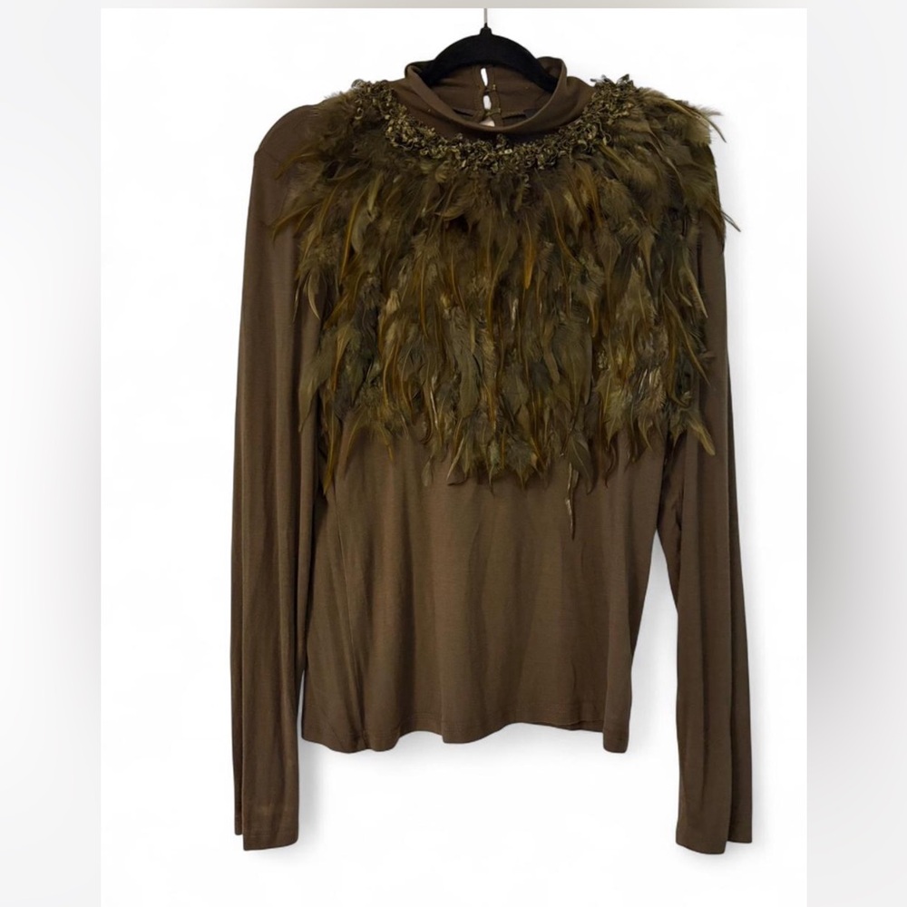 Gracia Brown Feather Embellished Long Sleeve Top
